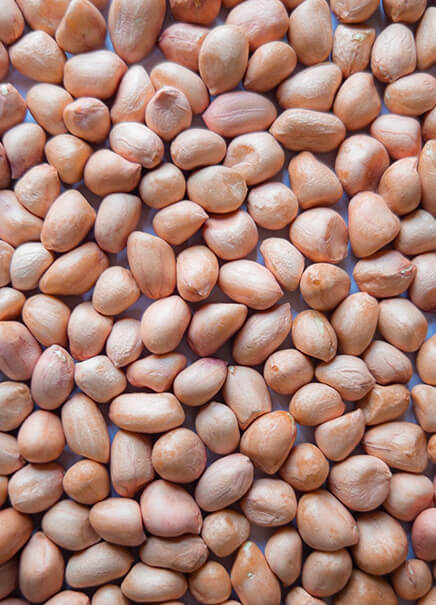 Spanish peanuts