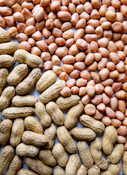 Raw Groundnuts