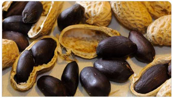 Darkest Peanut - Agrocrops