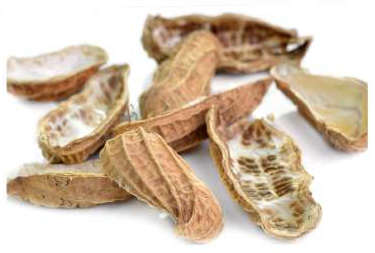 Peanut Innovation - Agrocrops