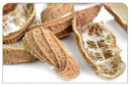 Utilisation Of Peanut Shell - Agrocrops