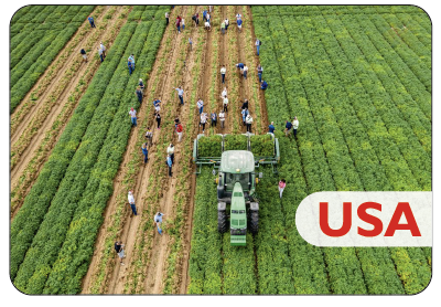 USA - Agrocrops